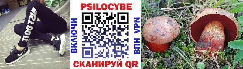 Купить где  Лысково  Псилоцибиновые грибы Magic Shrooms 